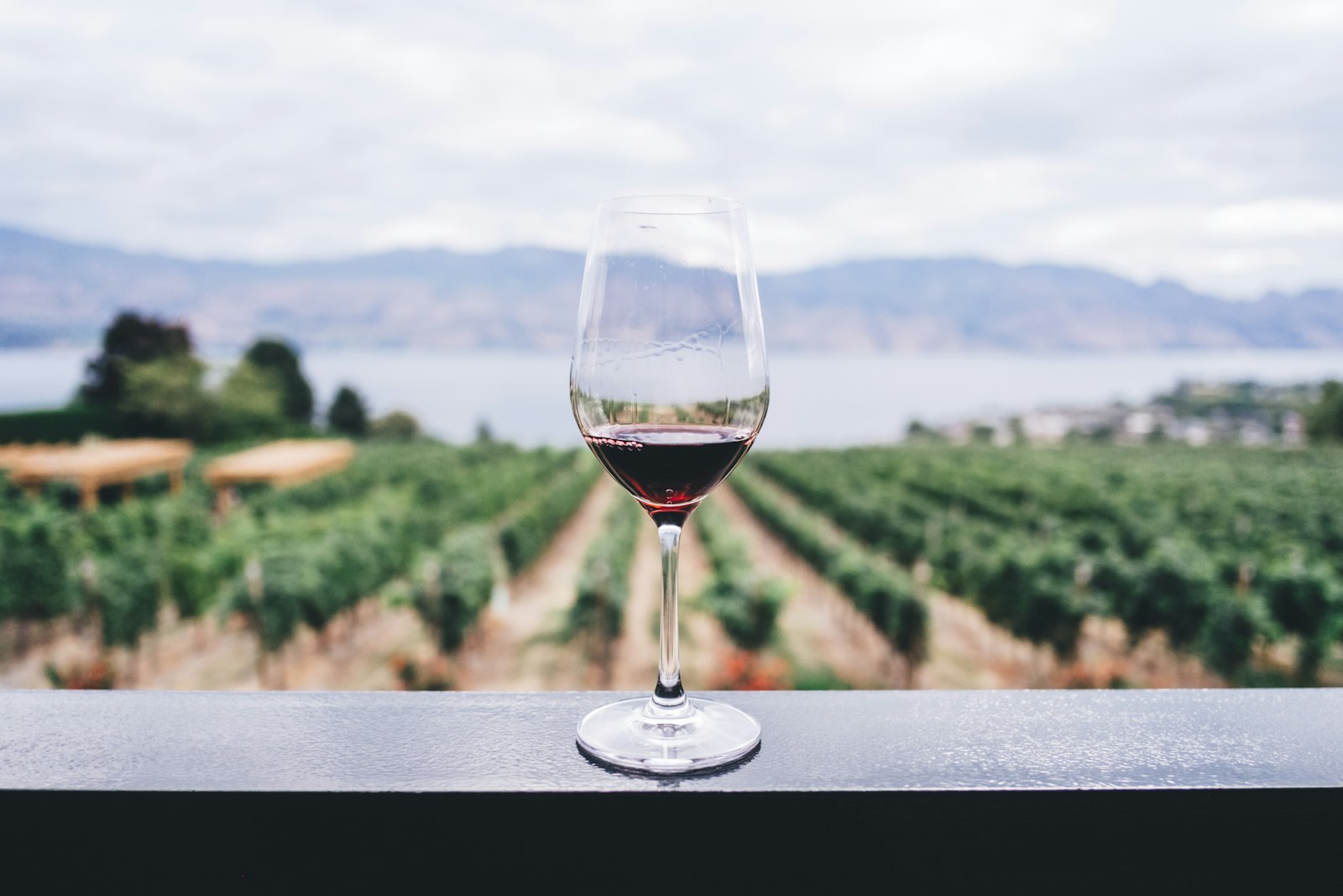 French gastronomy — wine and the art of the table