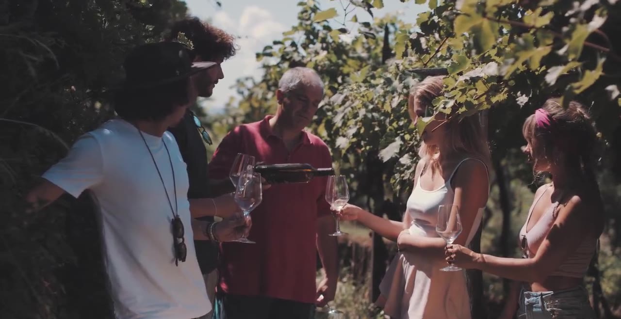 Gastronomy and wine culture